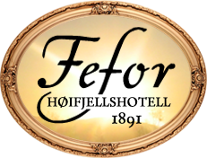 Fefor logo